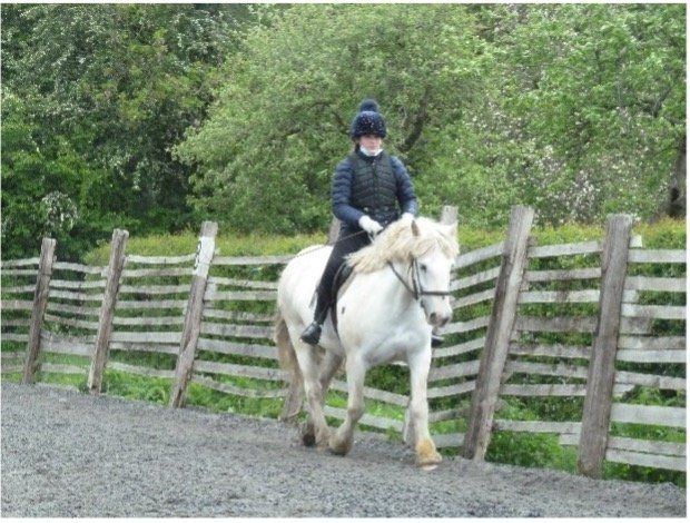 Children's Horse Riding Lesson  in Bristol & South Gloucestershire