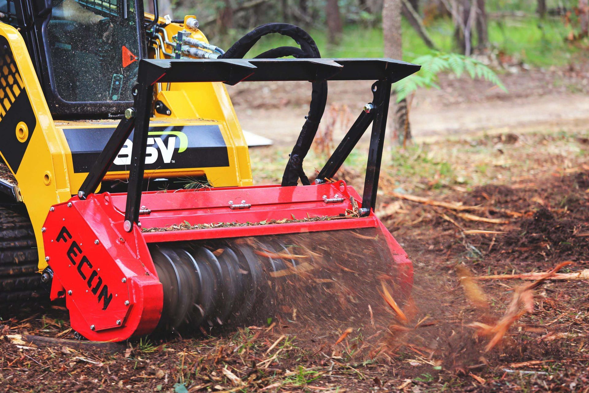 A yellow skid steer loader with a red Fecon mulching head grinds vegetation into wood chips on a forest floor.