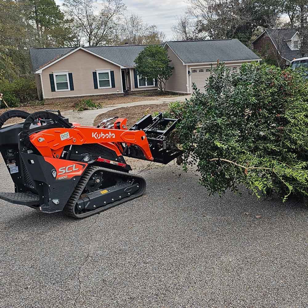 An orange Kubota SCL track loader with a grapple attachment moves a large, leafy shrub in a residential driveway.
