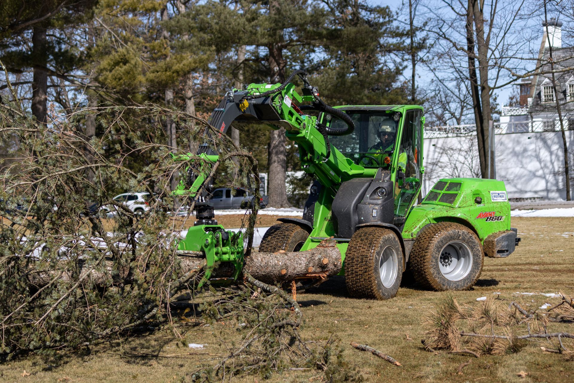 A lime-green Avant compact loader with a tree shear attachment moving a cut pine tree trunk in a grassy field.