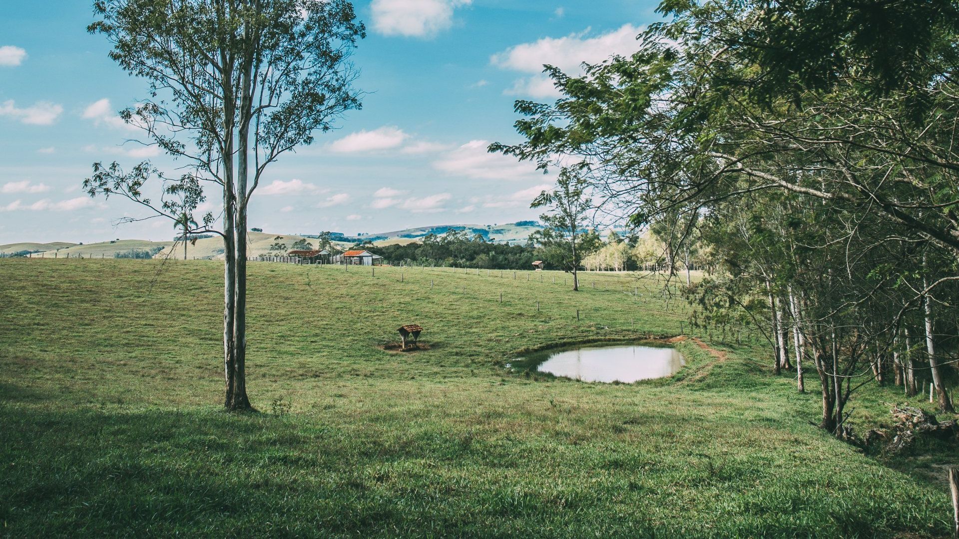 Golf course stump removal in Baltimore Maryland