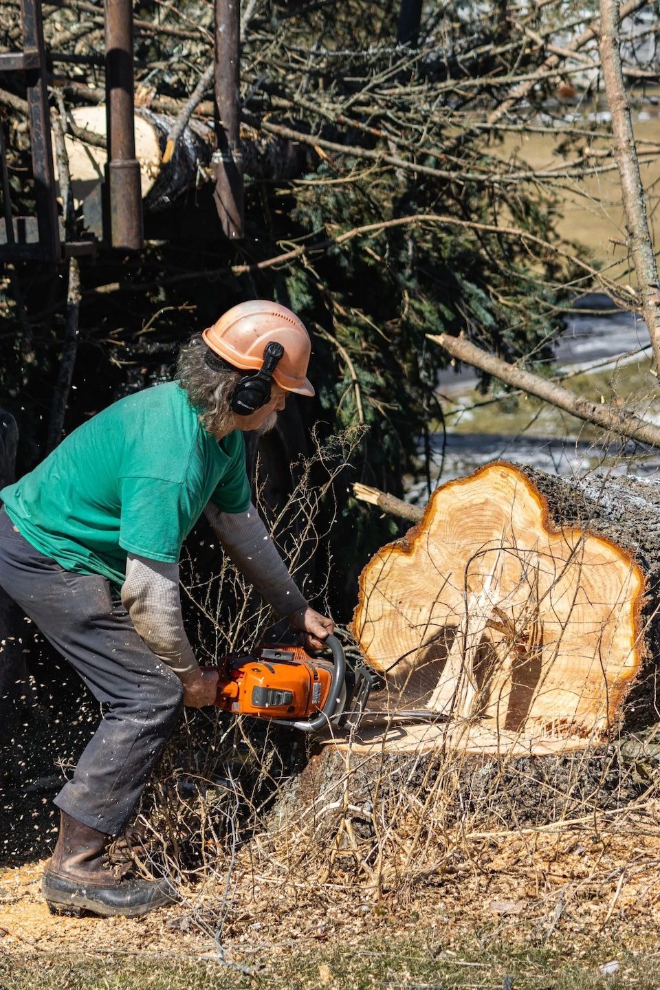 A person in a hard hat and green shirt uses a chainsaw to cut into the trunk of a fallen tree.
