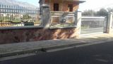 Cancello in ferro