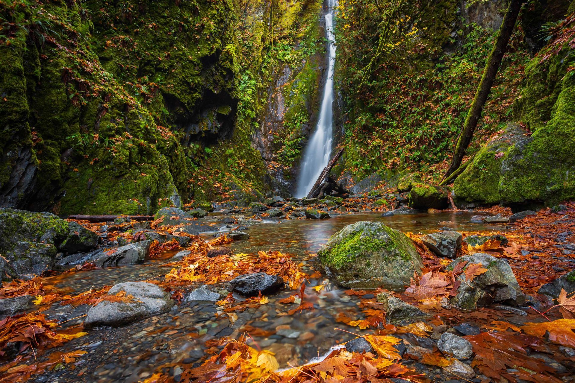 Narrow waterfall in a mossy canyon, with autumn leaves and rocks in a clear stream