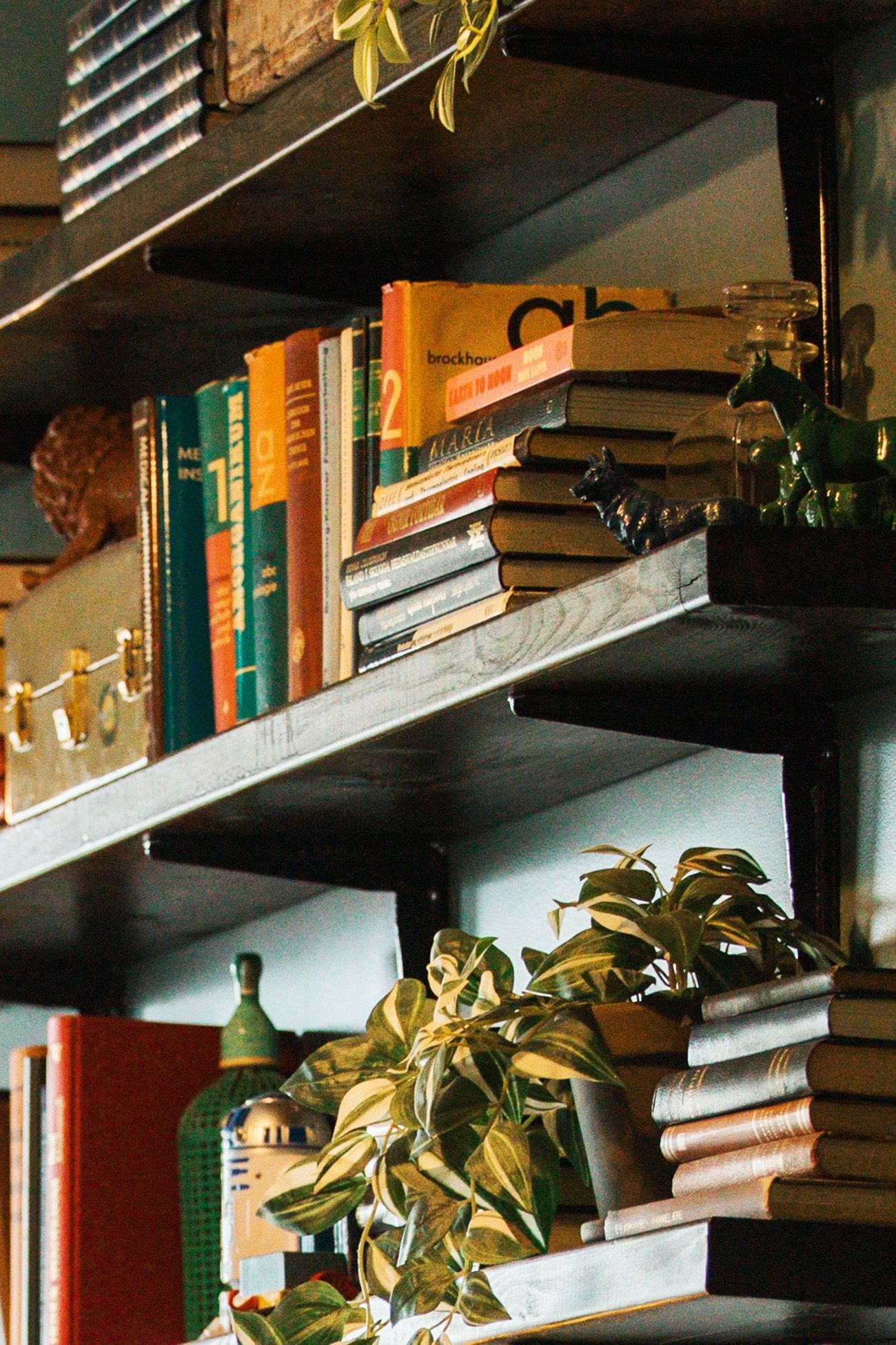 Bookshelves