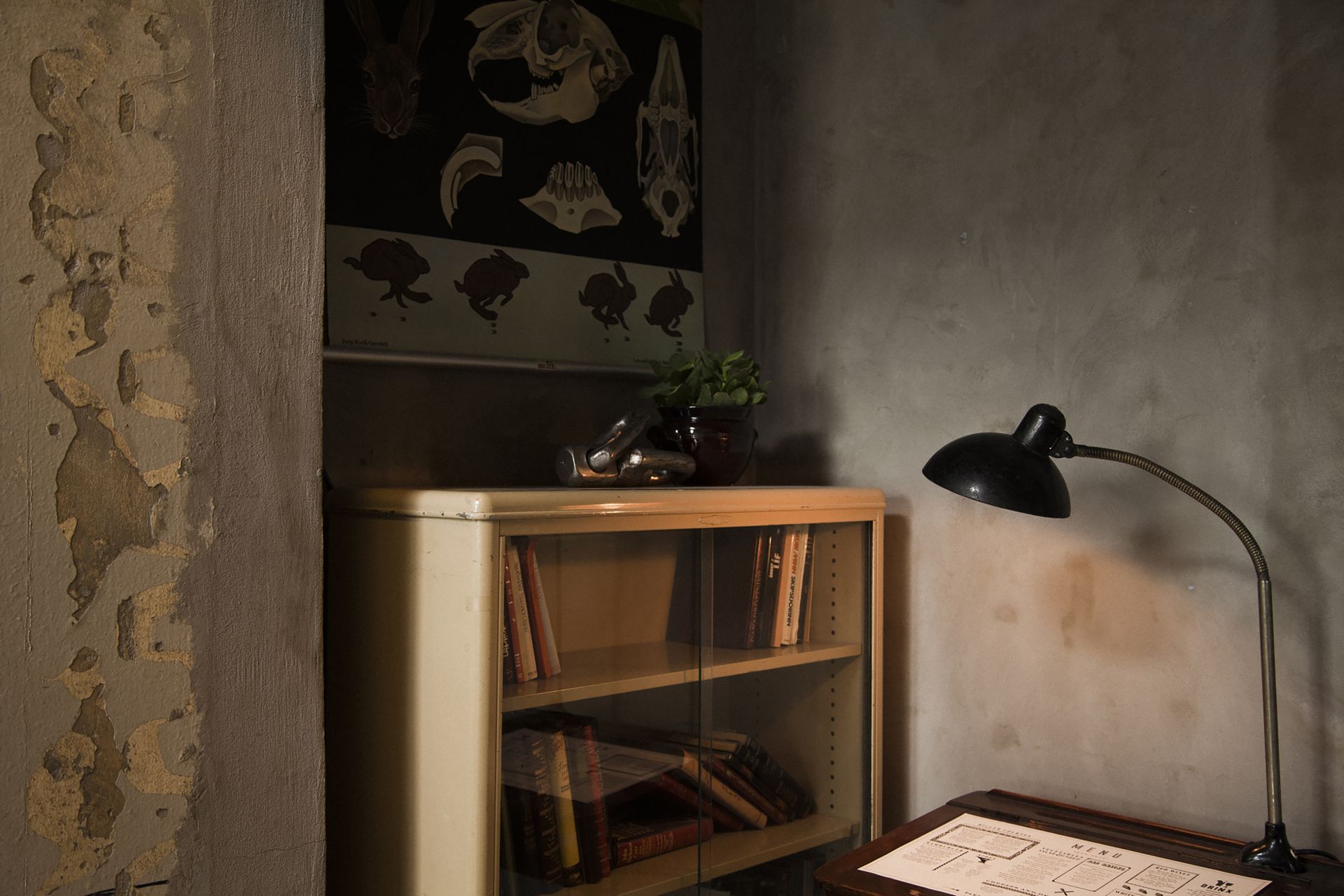 Lounge library