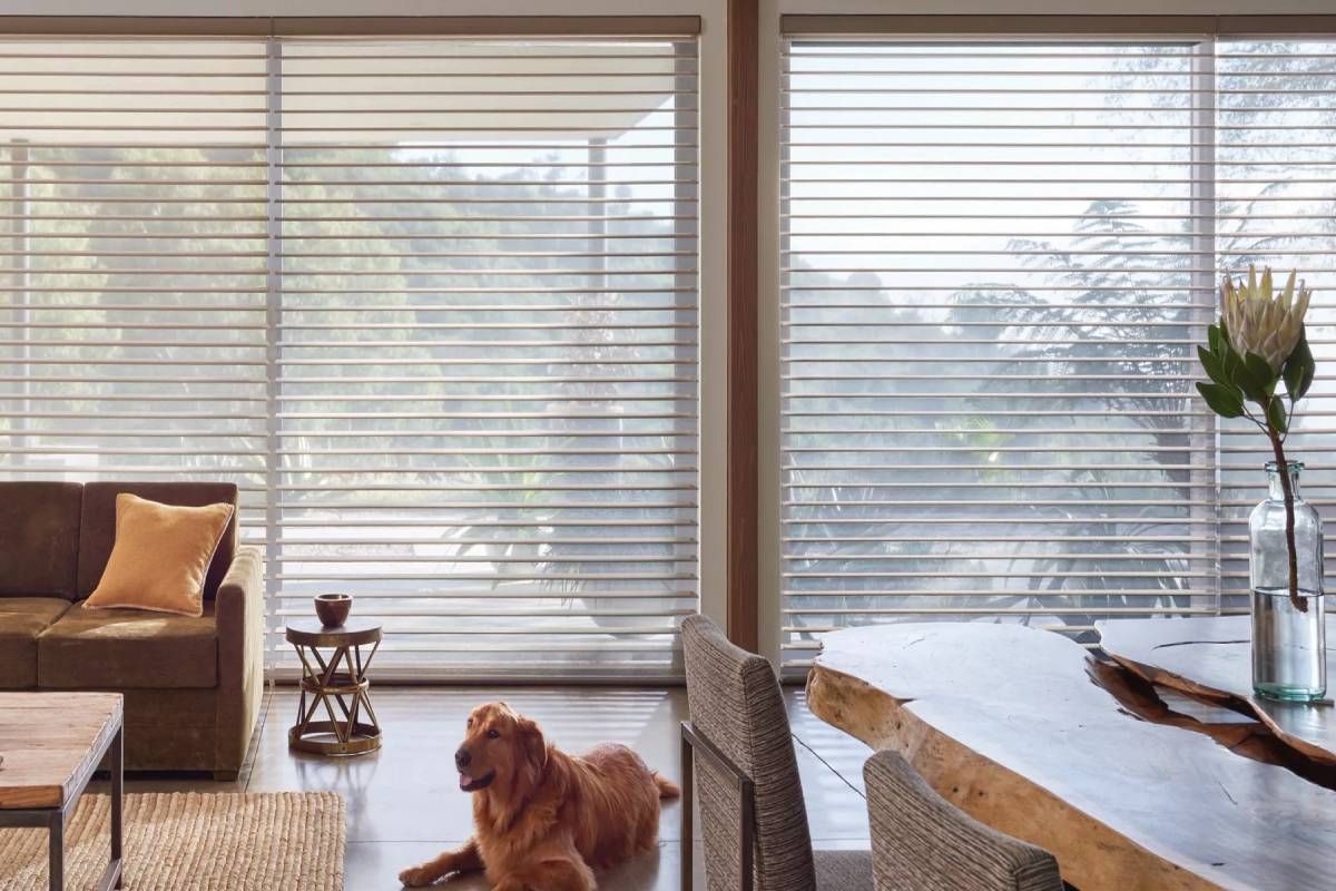 Silhouette® Sheer Shades on large windows in an open concept space with dog on the floor