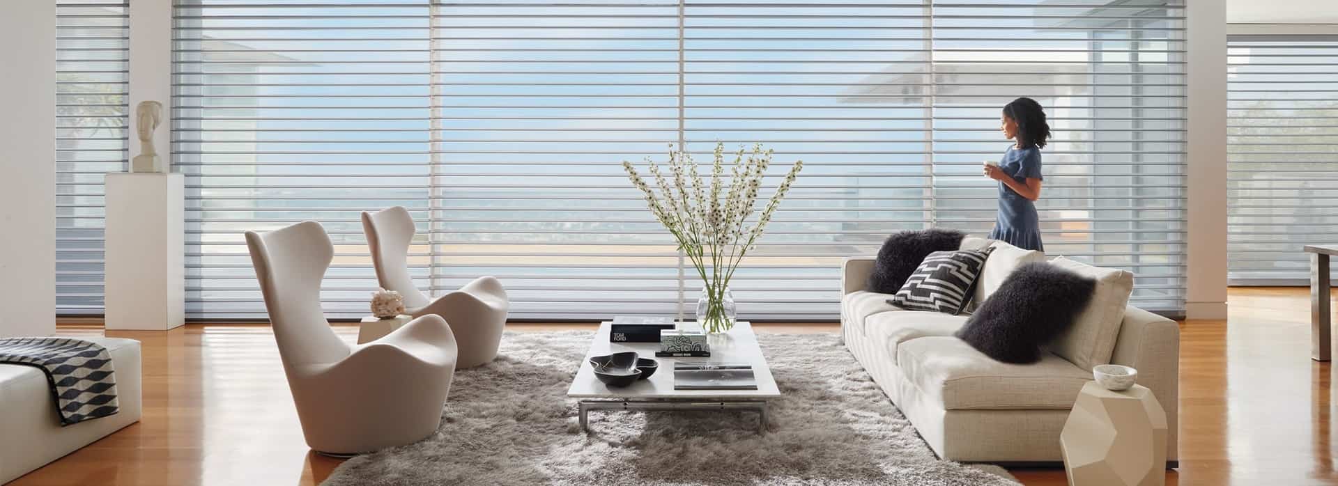 Hunter Douglas Roman shades, Vignette® Modern Roman Shades, Solera® Soft Shades, near Huntington, West Virginia
