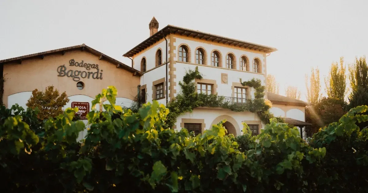 Das helle Hauptgebäude der Bodegas Bagordi mit dem Firmen-Schriftzug und dem Rioja-Qualitätssiegel an der Fassade. Im Vordergrund befinden sich dichte grüne Weinreben im warmen Gegenlicht des Sonnenuntergangs.