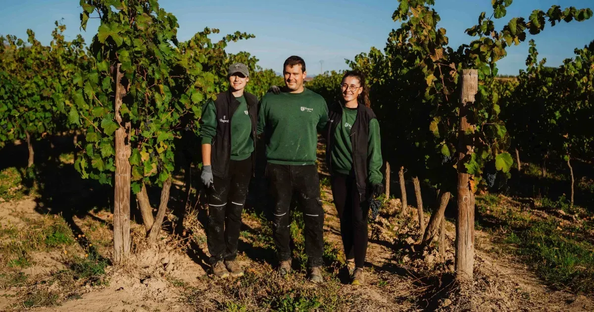 Drei lächelnde Winzer in grüner Oberbekleidung mit Bodegas-Bagordi-Logo stehen Arm in Arm in einer Rebenreihe. Um sie herum erstreckt sich ein sonnendurchfluteter Weinberg bei blauen Himmel.