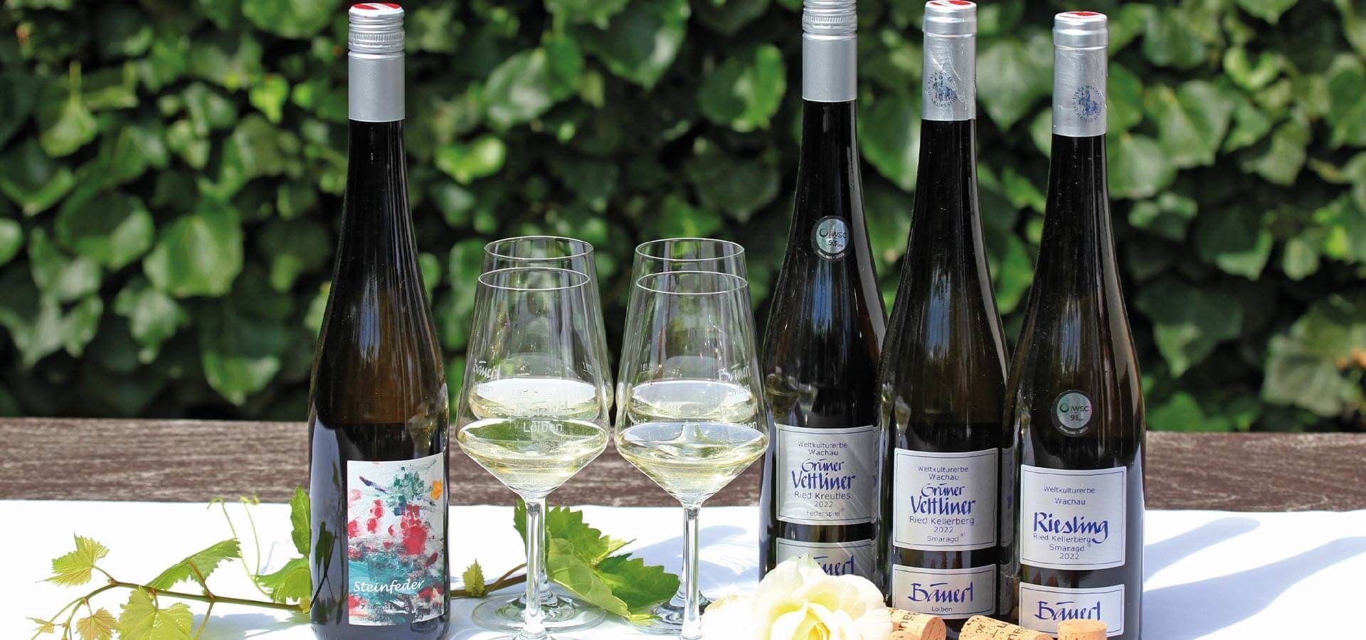 Strawanzer, Donabaum Martin, Spitz, Wachau