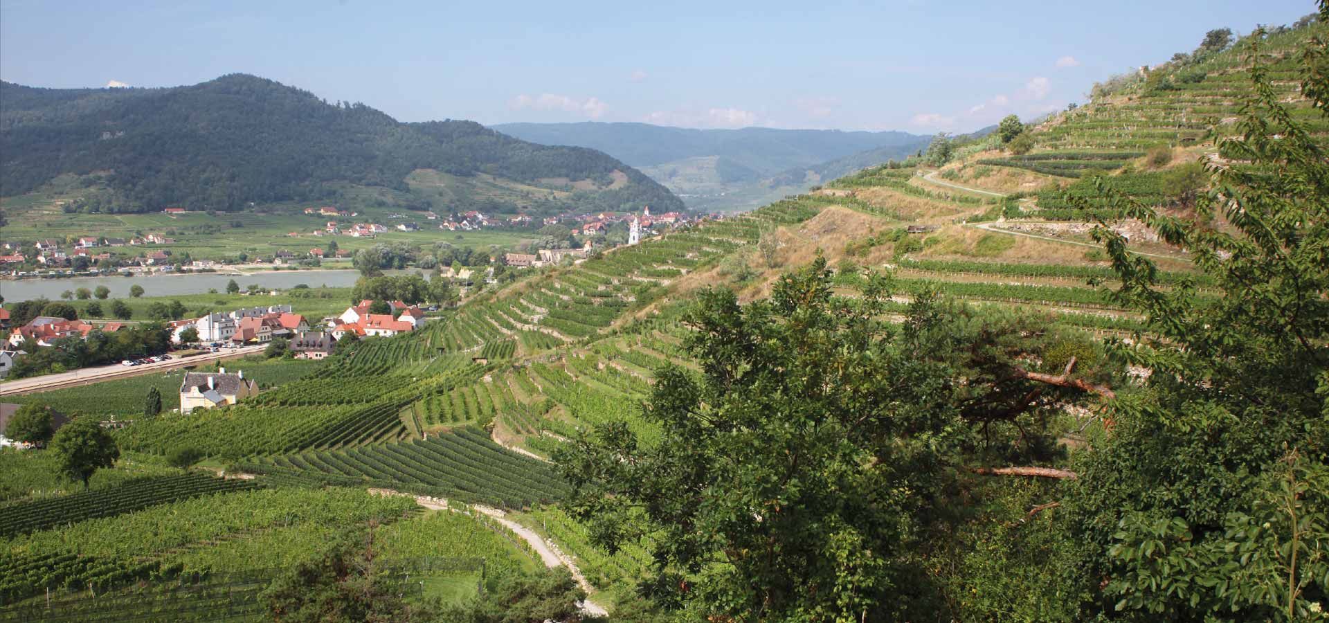 Strawanzer, Donabaum Martin, Spitz, Wachau