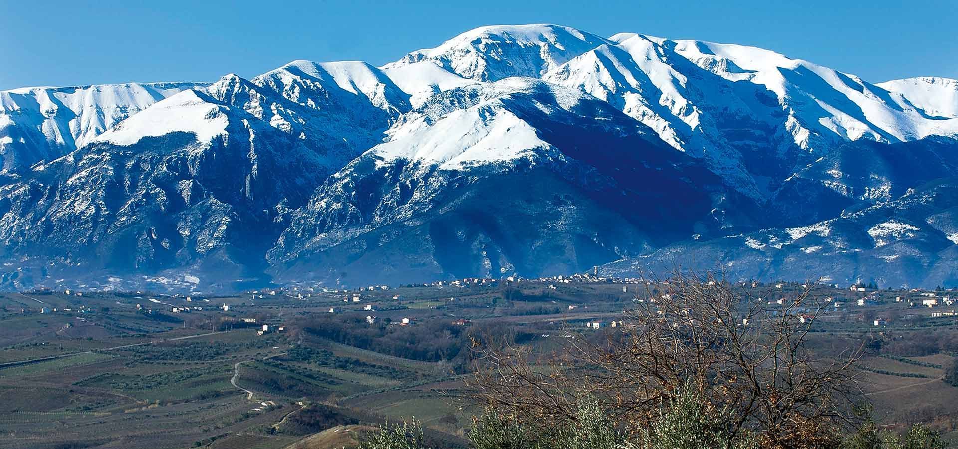 Collefrisio
