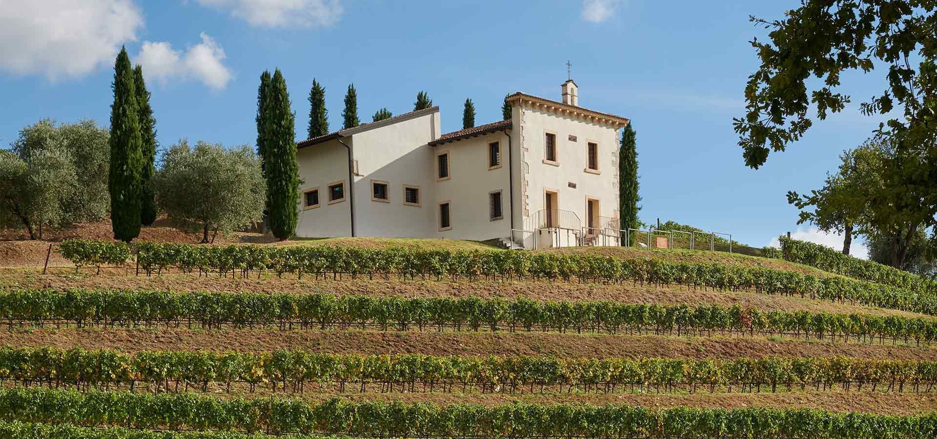 Weingut Bertani