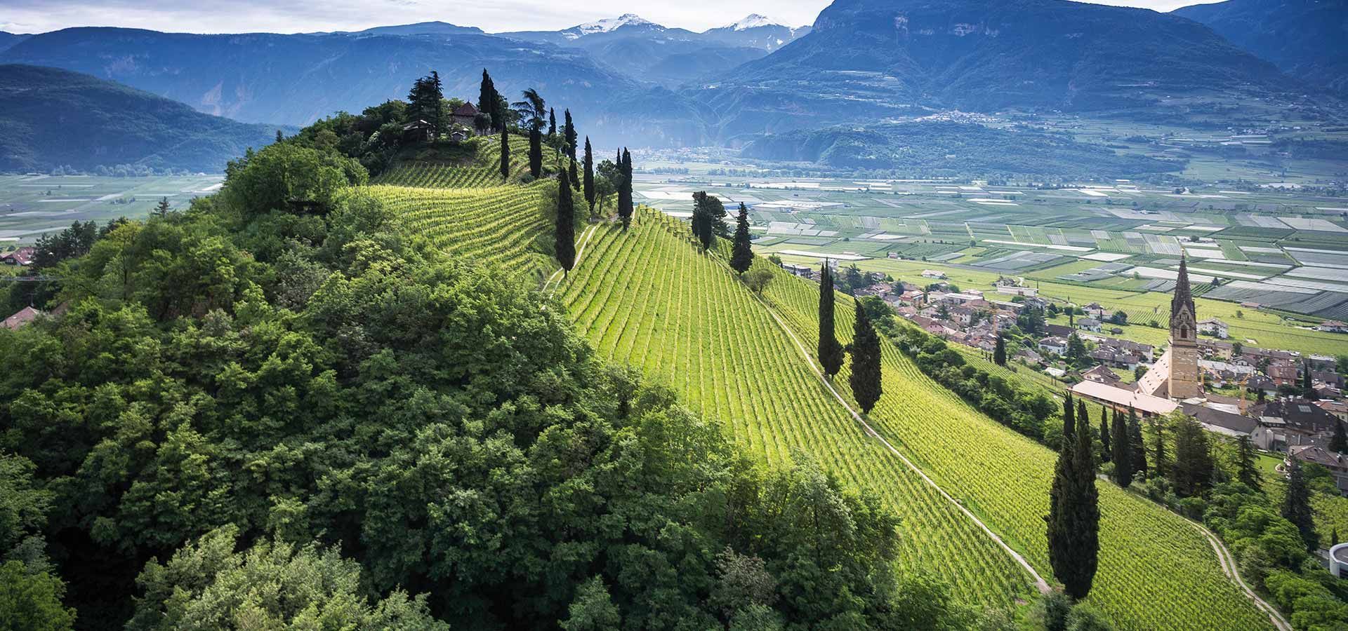 Elena Walch, Tramin