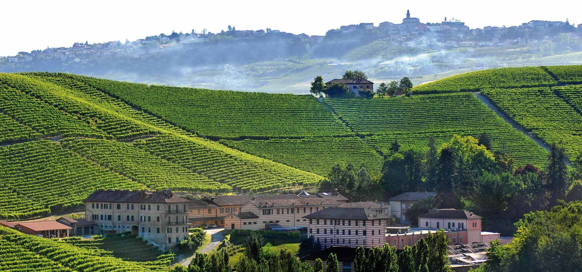 Fontanafredda, Serralunga d’Alba