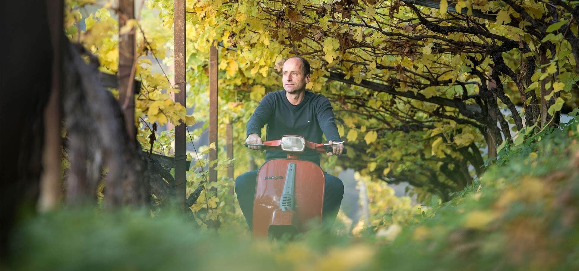 Gump Hof, Markus Prackwieser, Völs am Schlern, Südtirol