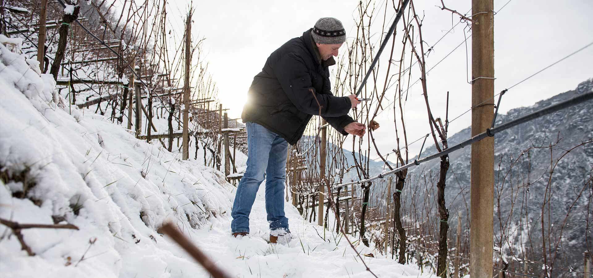 Gump Hof, Markus Prackwieser, Völs am Schlern, Südtirol