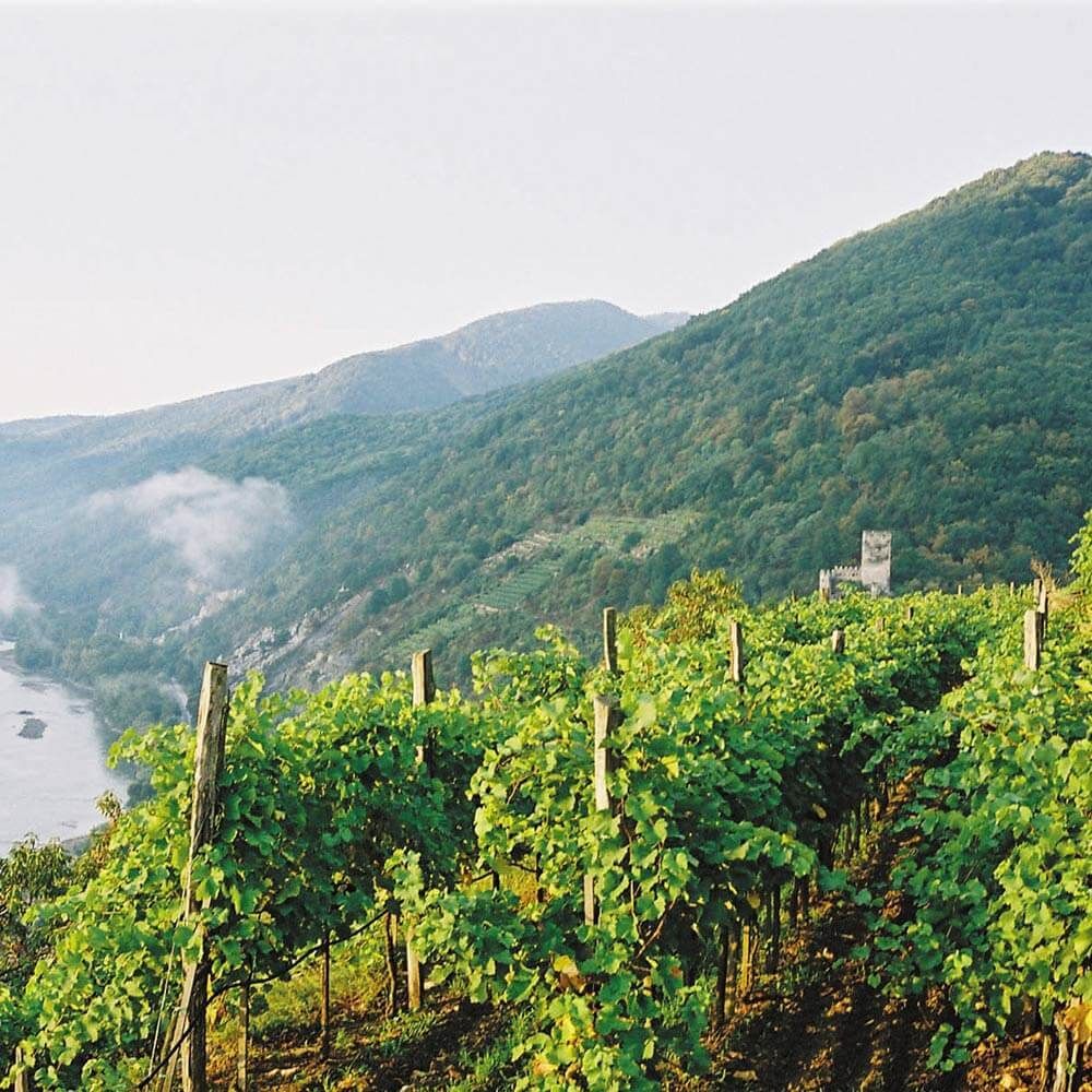 Weingut Franz Hirtzberger, Spitz