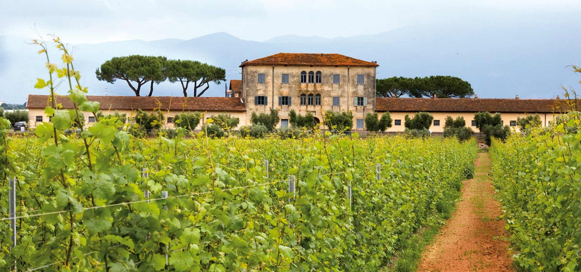 Lazio, Casale del Giglio, Aprila