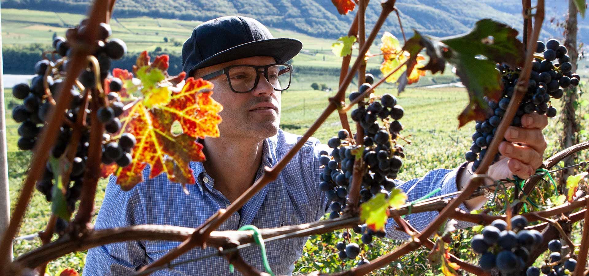 Weingut Peter Sölva, Kaltern﻿, Südtirol