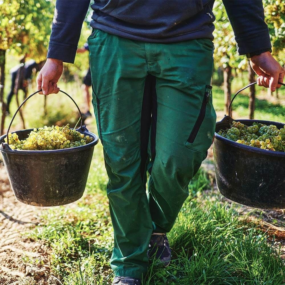 Weingut Polsterer, Feuersbrunn