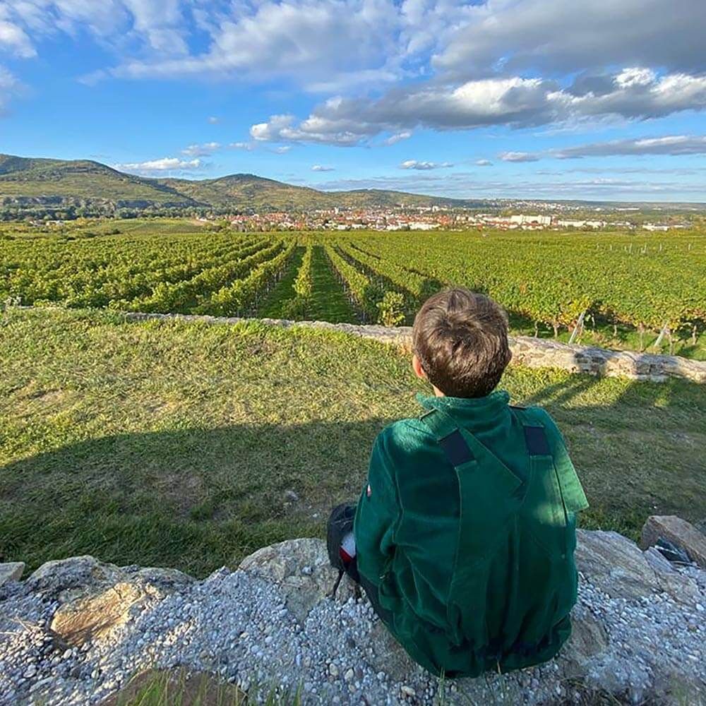 Propstei Weingut, Weingarten