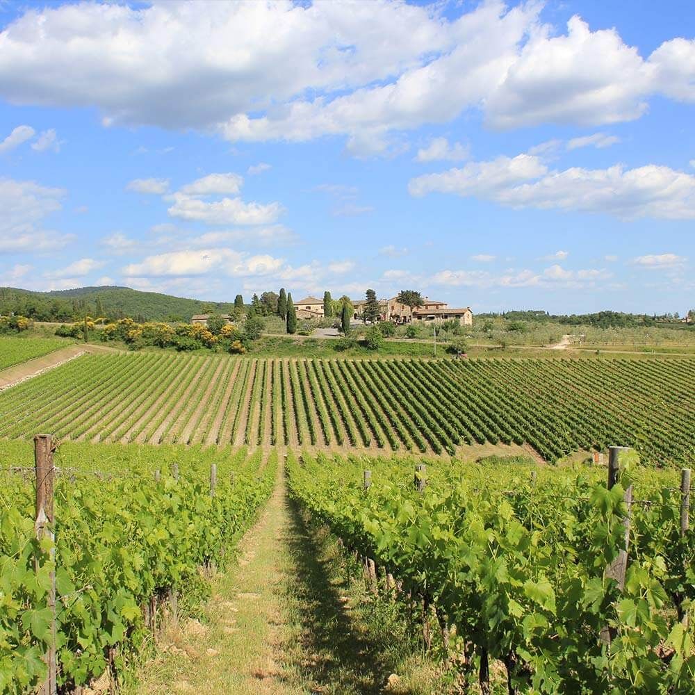 Rocca delle Macie, Castellina in Chianti