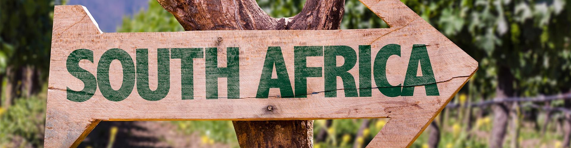Wein aus Südafrika