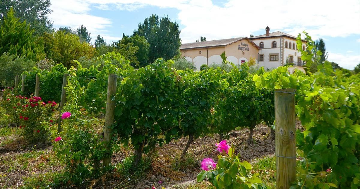 Bodegas Bagordi
