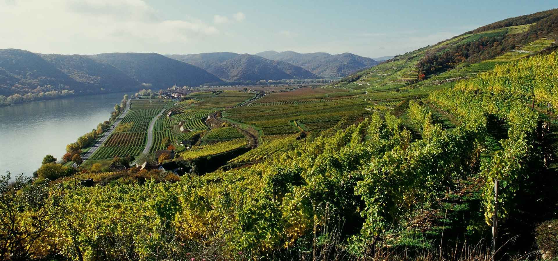 Weingut Emmerich Knoll, Unterloiben