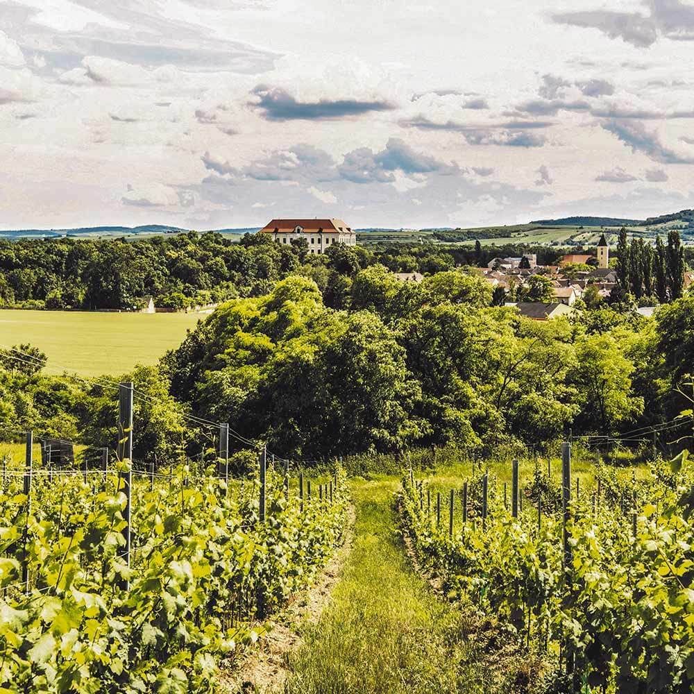 Schlossweingut Graf Hardegg, Seefeld-Kadolz