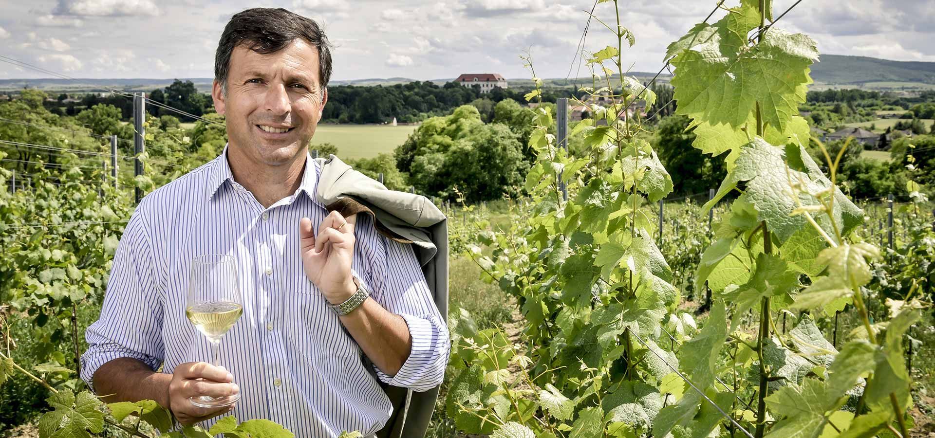 Schlossweingut Graf Hardegg,
Seefeld-Kadolz