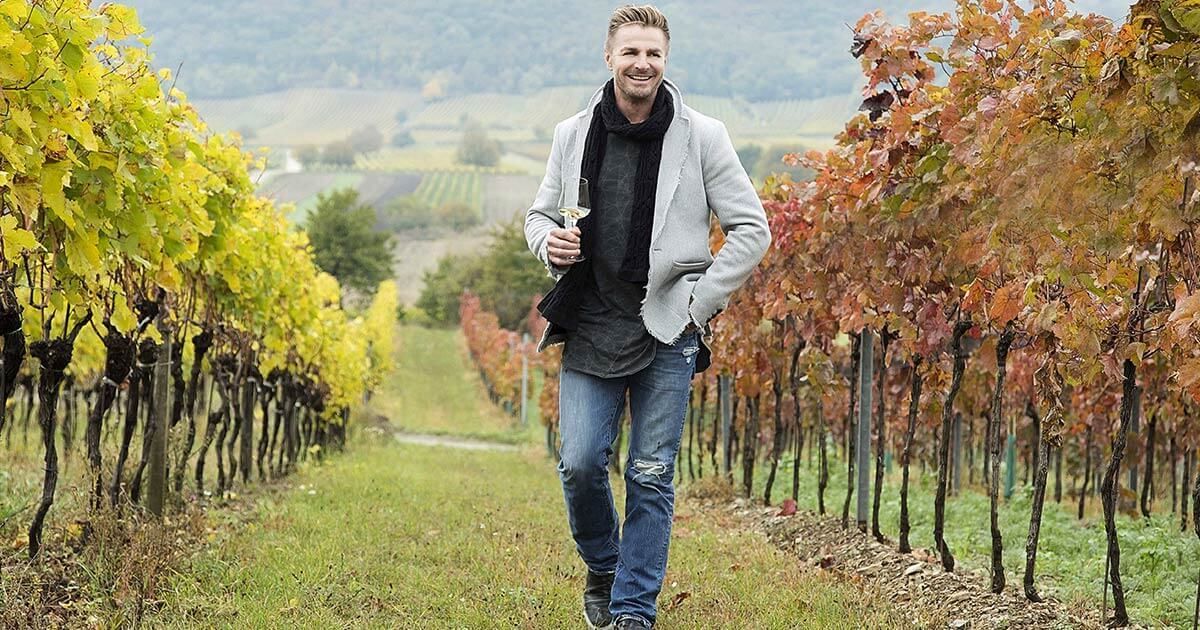 Weingut Hillinger, Jois