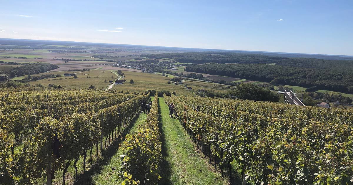 Weingut Jalitz, Badersdorf
