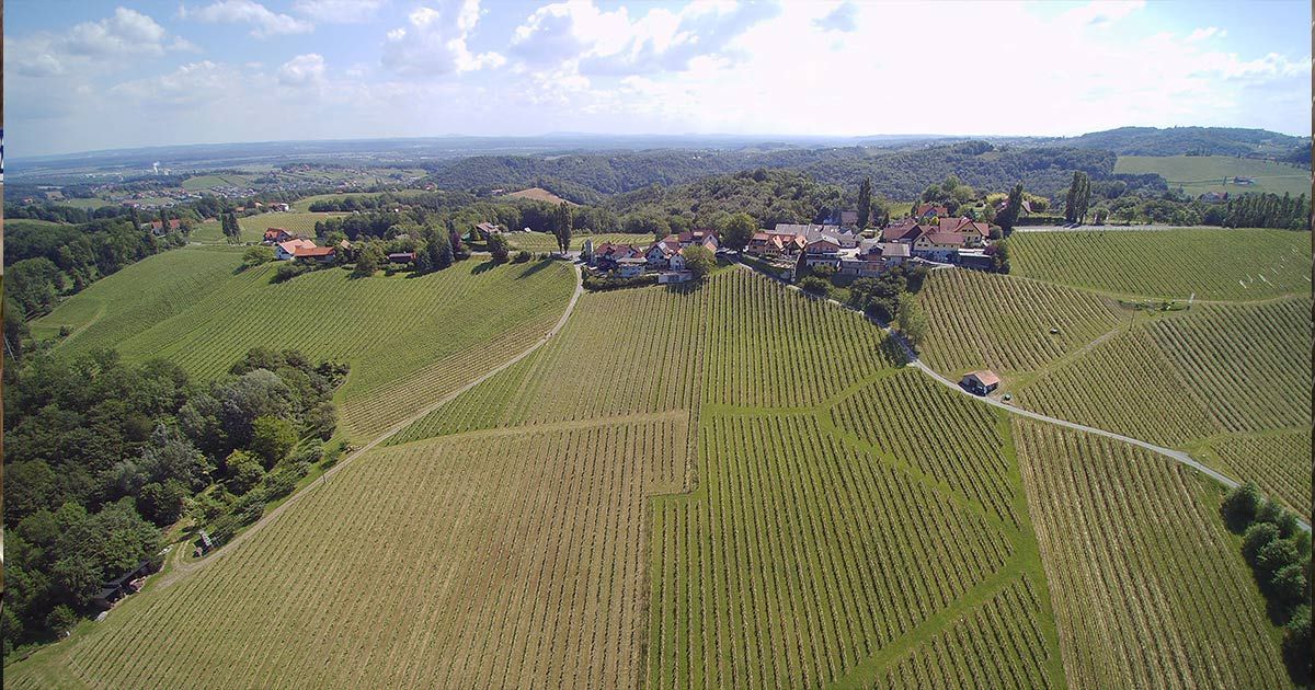 Weingut Nekrep, Gamlitz von oben