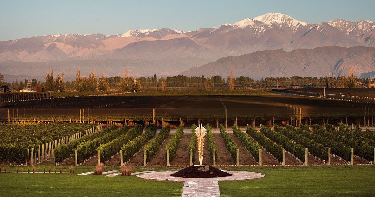 Vina Los Vascos, Domaines de Rothschild