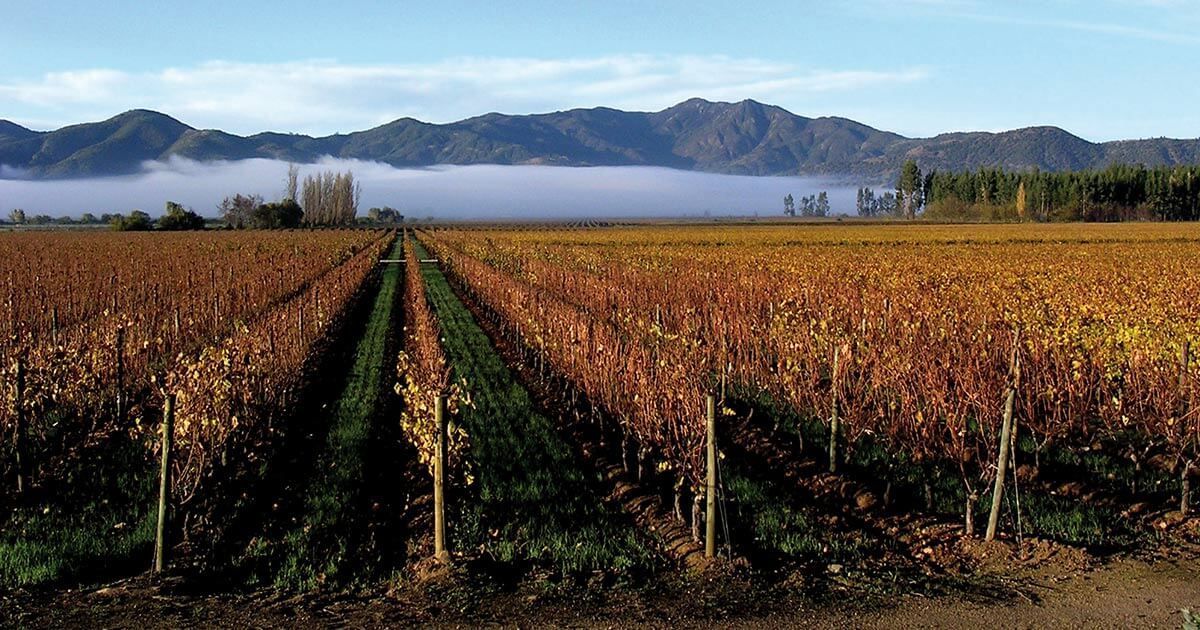 Vina Los Vascos, Domaines de Rothschild