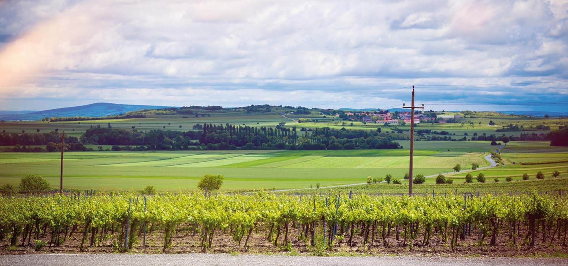 Weingut Woeber, Waitzendorf