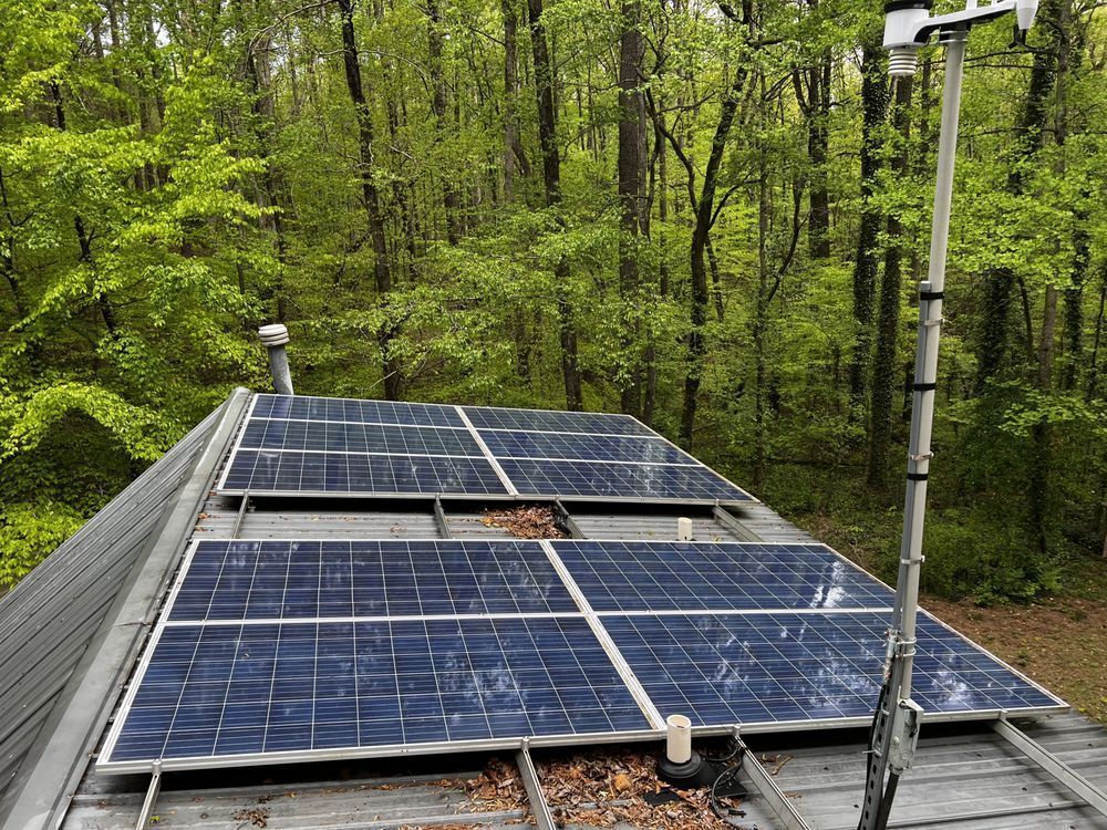 Solar panels on a rooftop beside a wooded forest, with a tall metal pole beside them.
