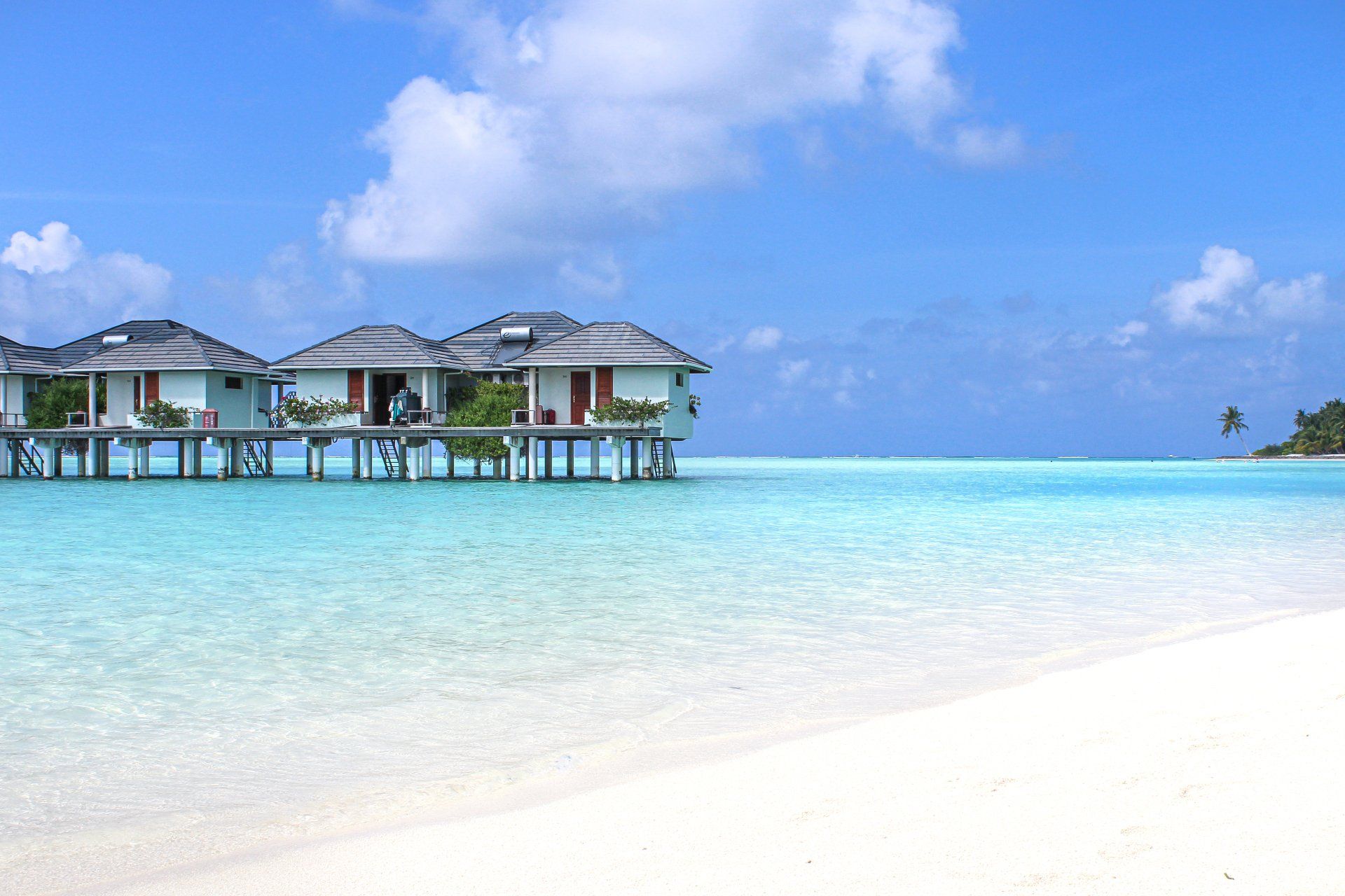 Maldive: Atollo di Ari Sud