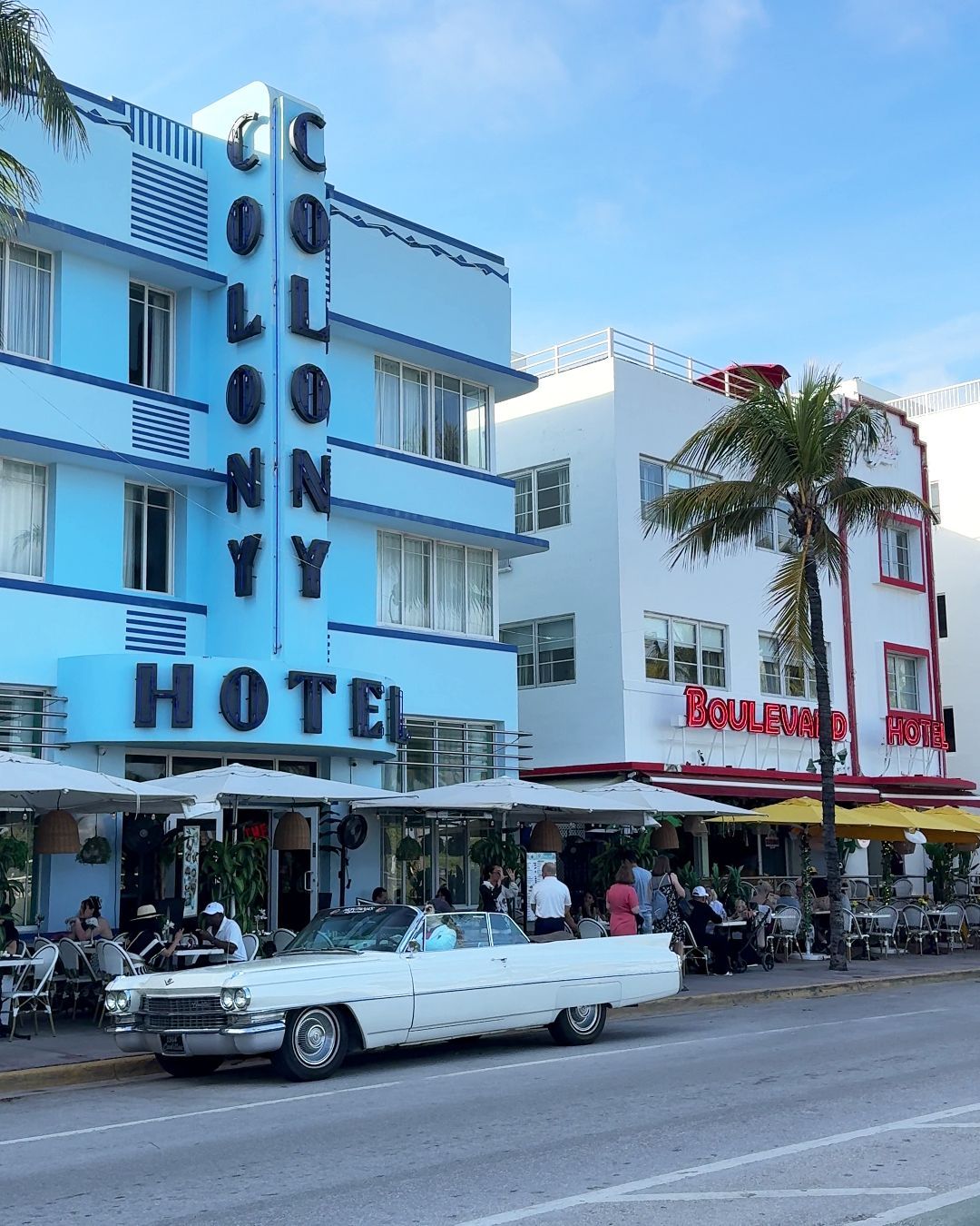 Miami e Miami Beach cosa vedere e cosa sapere