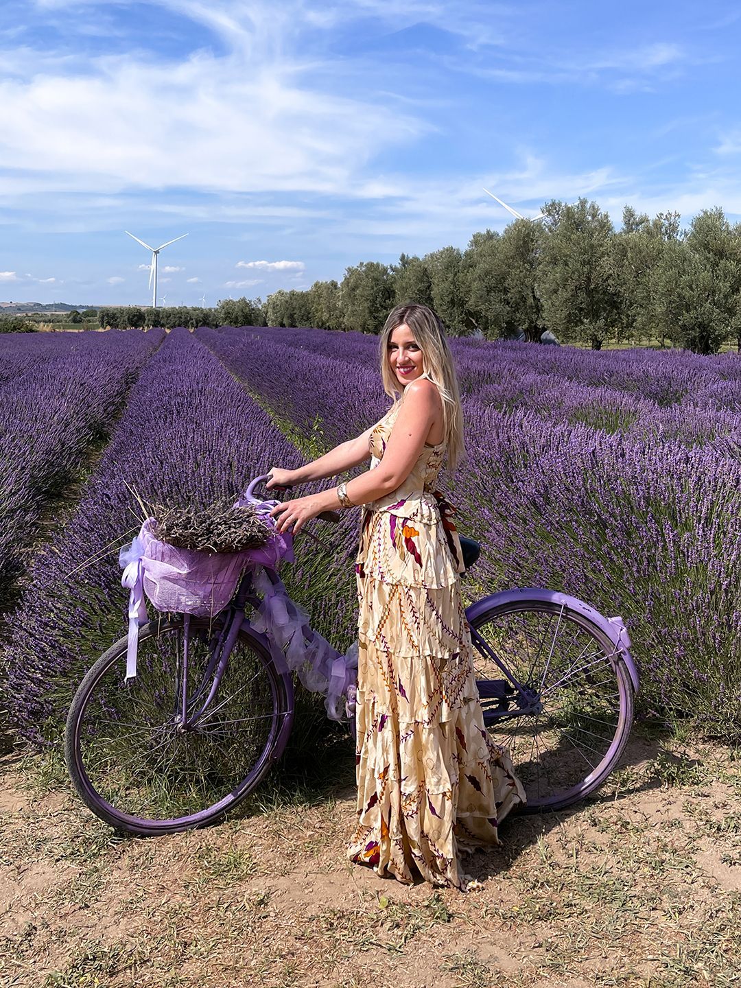 Fioritura della Lavanda nella Tuscia (Lazio)