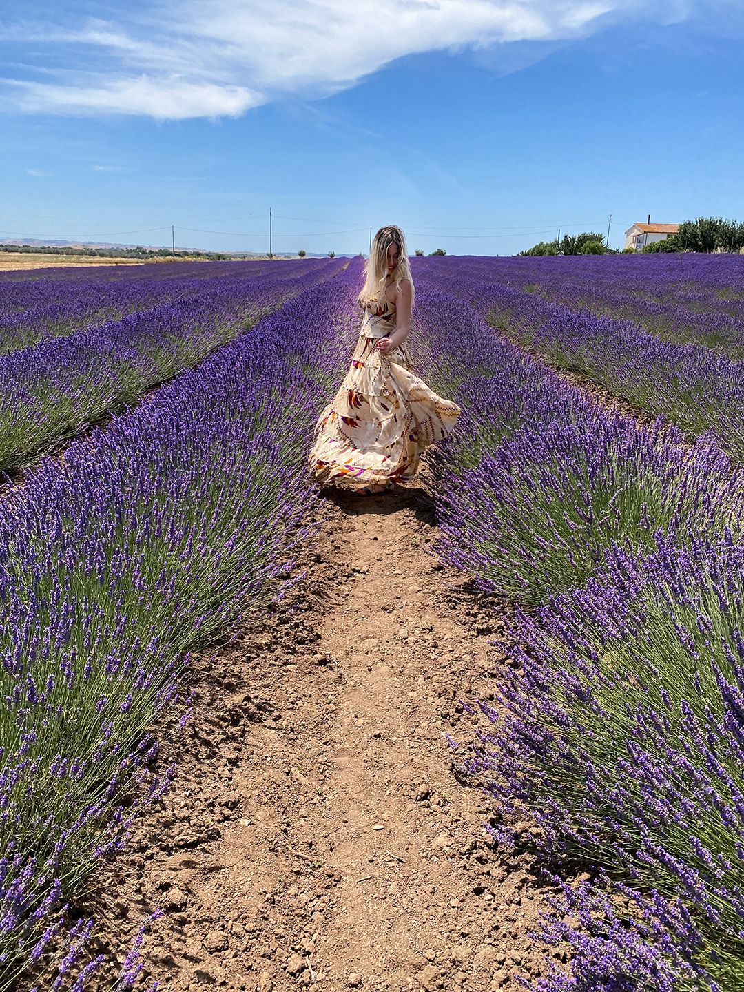 Campo di lavanda nel Lazio