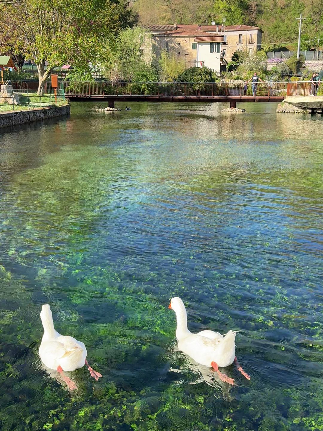 Chi abita il lago