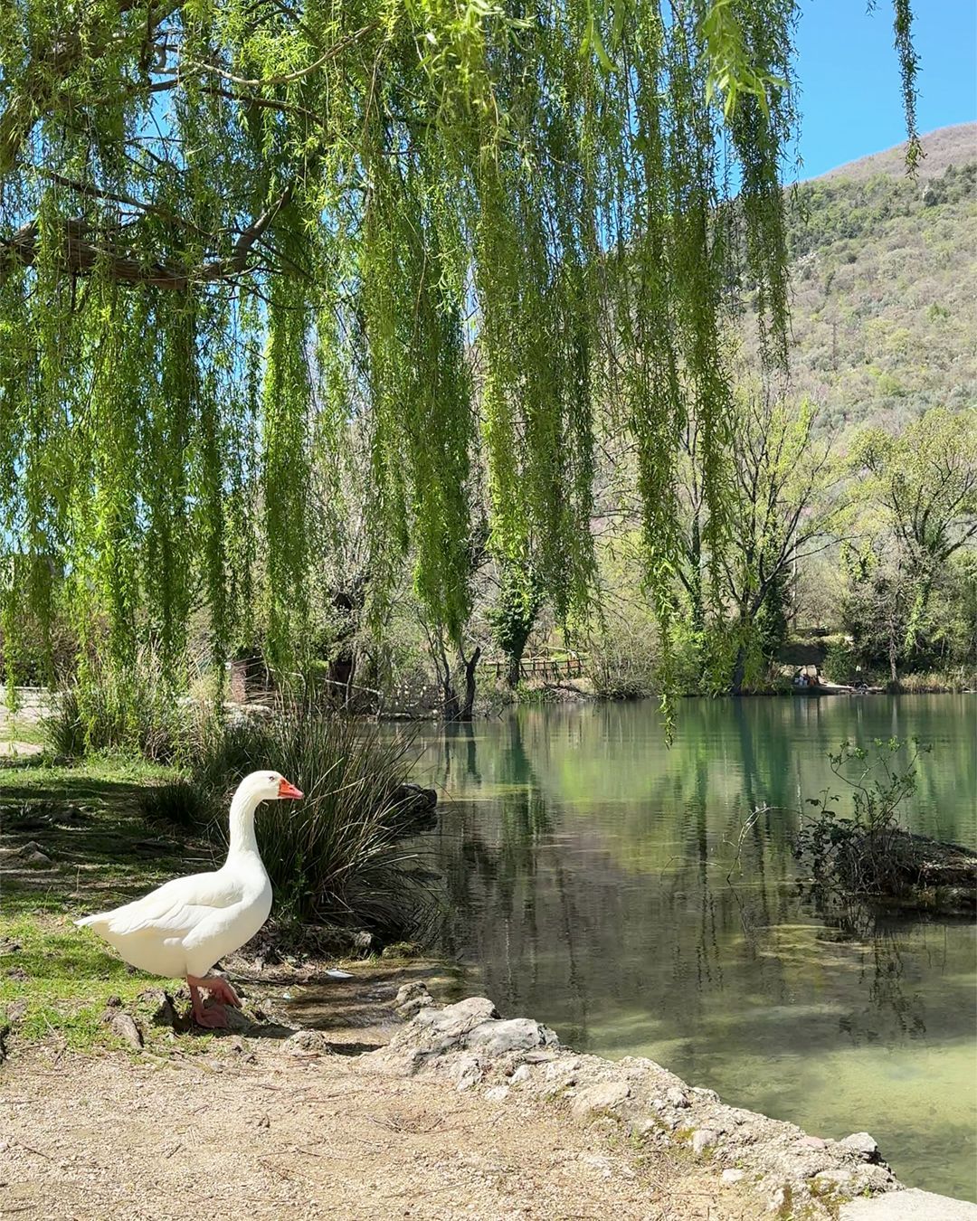 Com'è fatto il lago di Paterno
