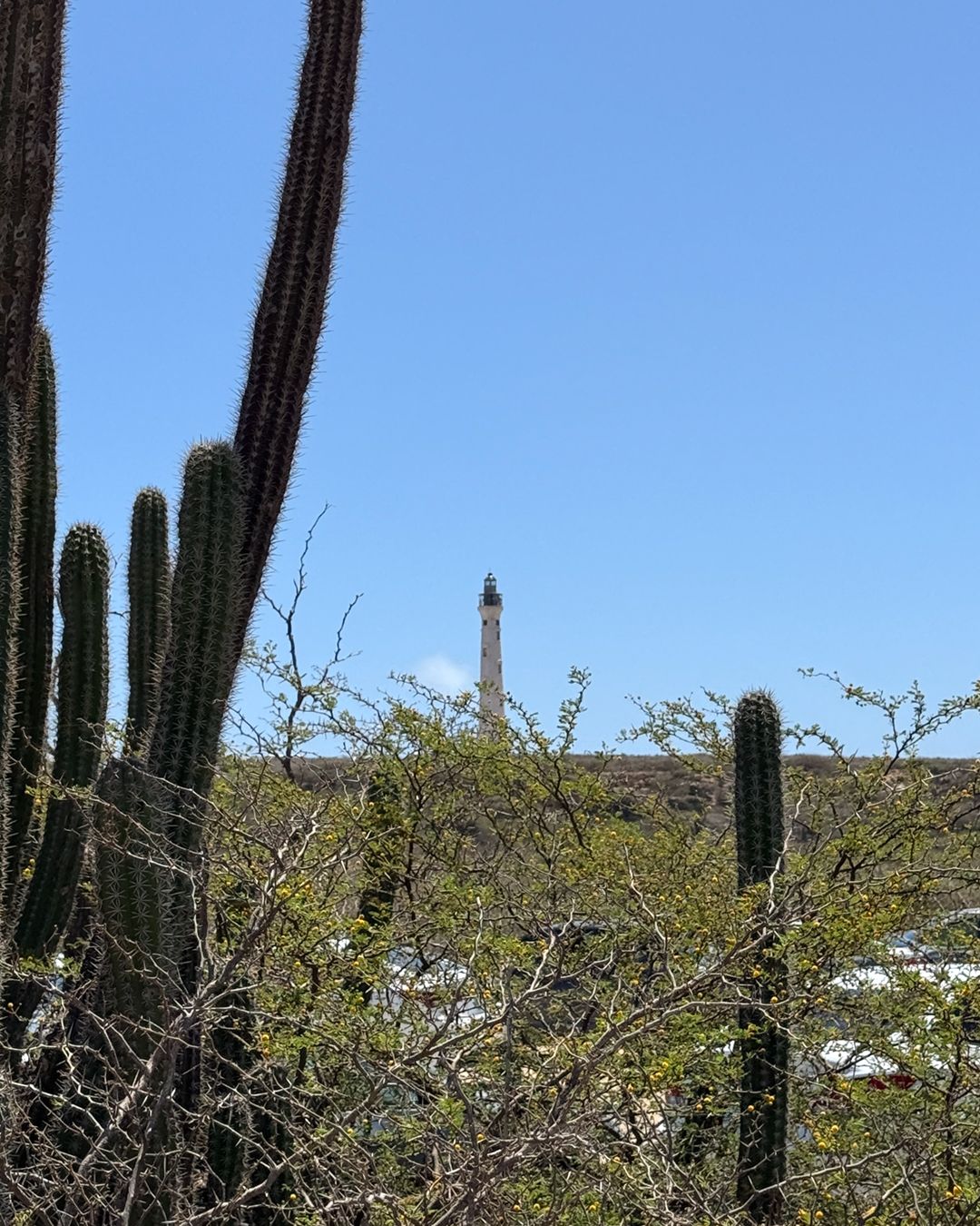 Cosa fare ad Aruba_ il California Lighthouse