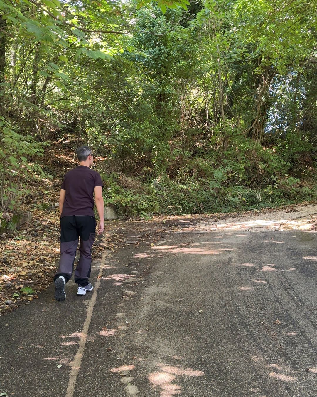 Da dove parte il Museo diffuso del bosco, Rocca di Papa - Roma