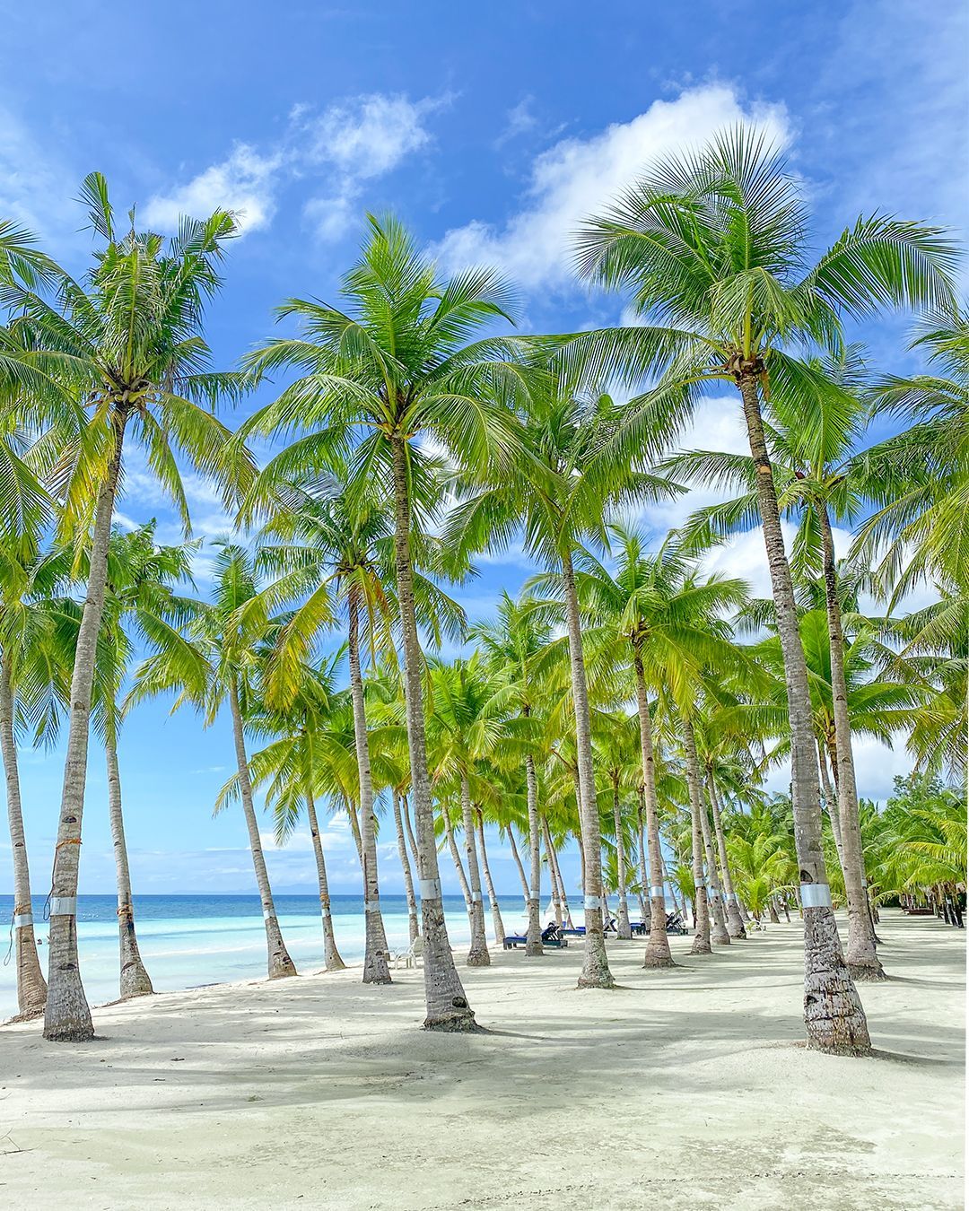 Panglao Camera Bohol Beach Club