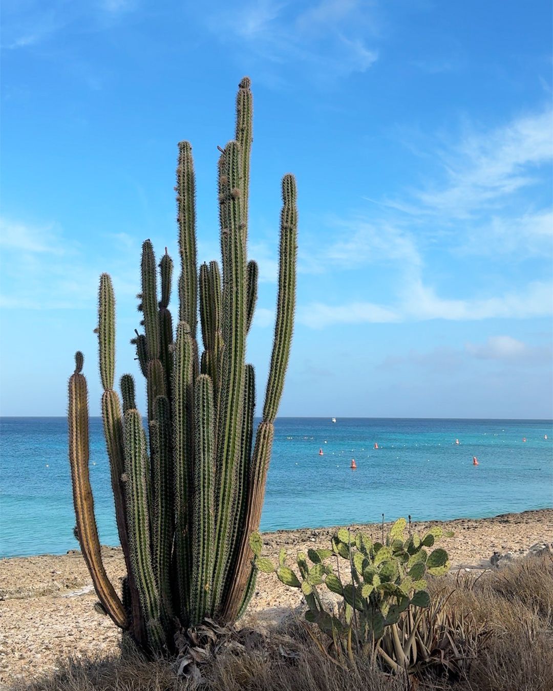 Dove si trova Aruba